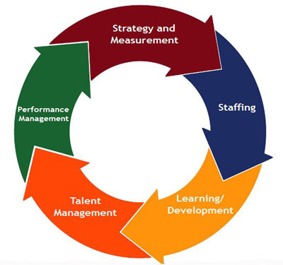 TalentLifecycle